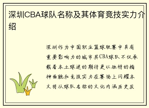 深圳CBA球队名称及其体育竞技实力介绍