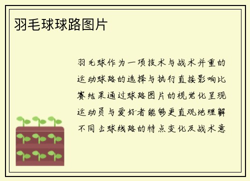 羽毛球球路图片