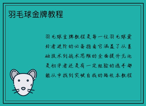 羽毛球金牌教程